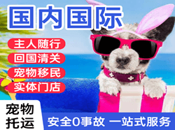 朔州滋润航空运输国际宠物托运 【国